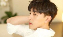 娱乐圈爆料肖战邓伦,真相与谣言的交织